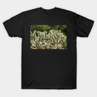 Jumping Cholla T-Shirt